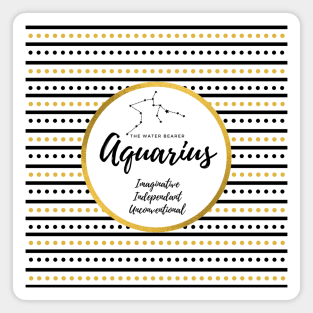 Zodiac Constellation | Aquarius Magnet